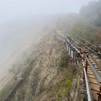 かなりワイルドです。