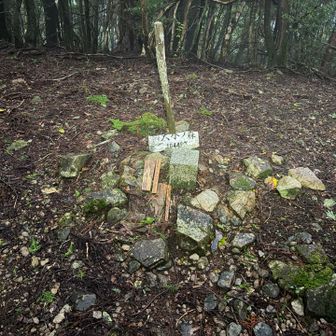 大水ノ森
(大森山から少し離れたところにある三角点)
