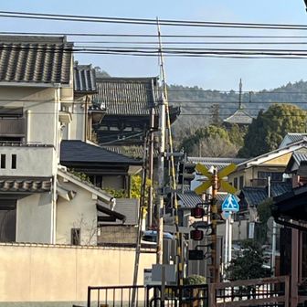 御室駅を通過して向こうに見える仁和寺へ