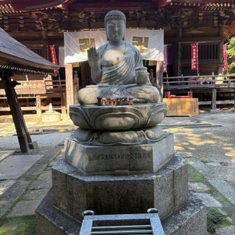 ちびちびたくさん🙏