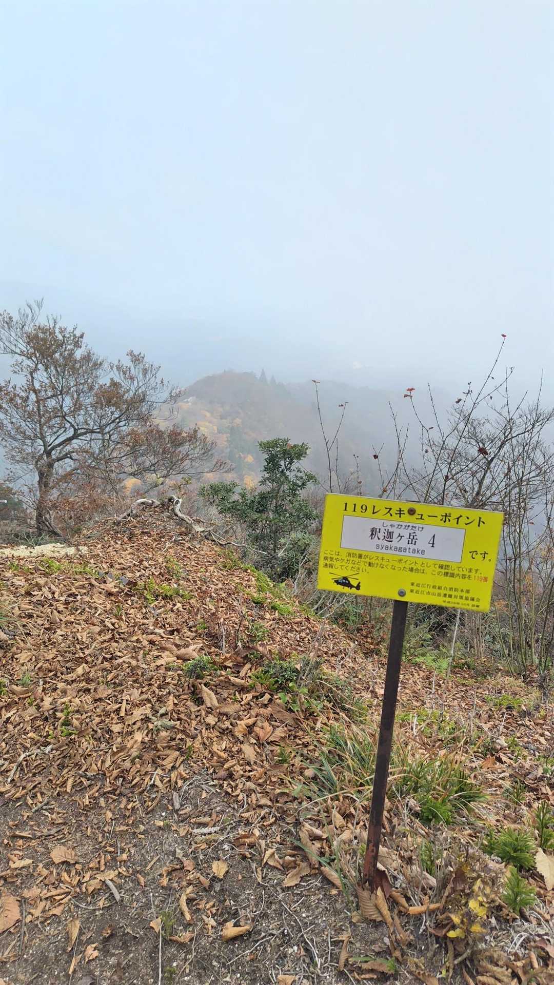 北山-釈迦ヶ岳 往復コースの写真