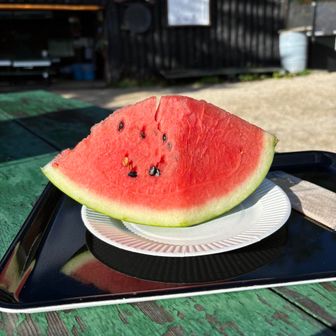 どん・がばちょ