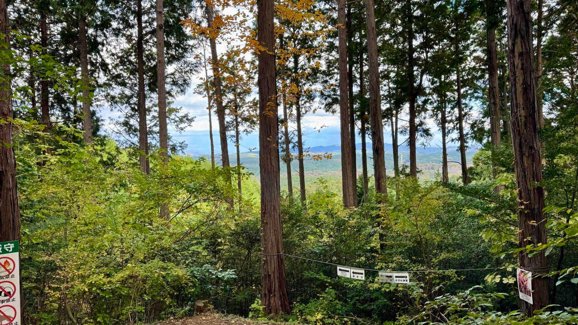 御岩山 往復コースの写真