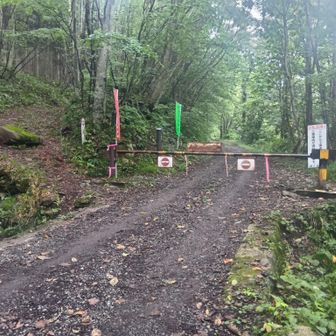 2日目、平元新道。
※ゲート。振り返って撮影。