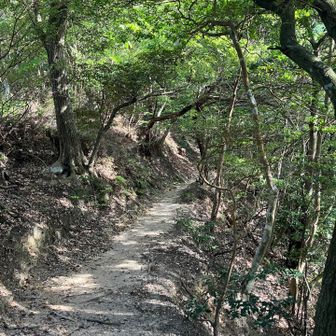 たまに休める天国道があります✌️