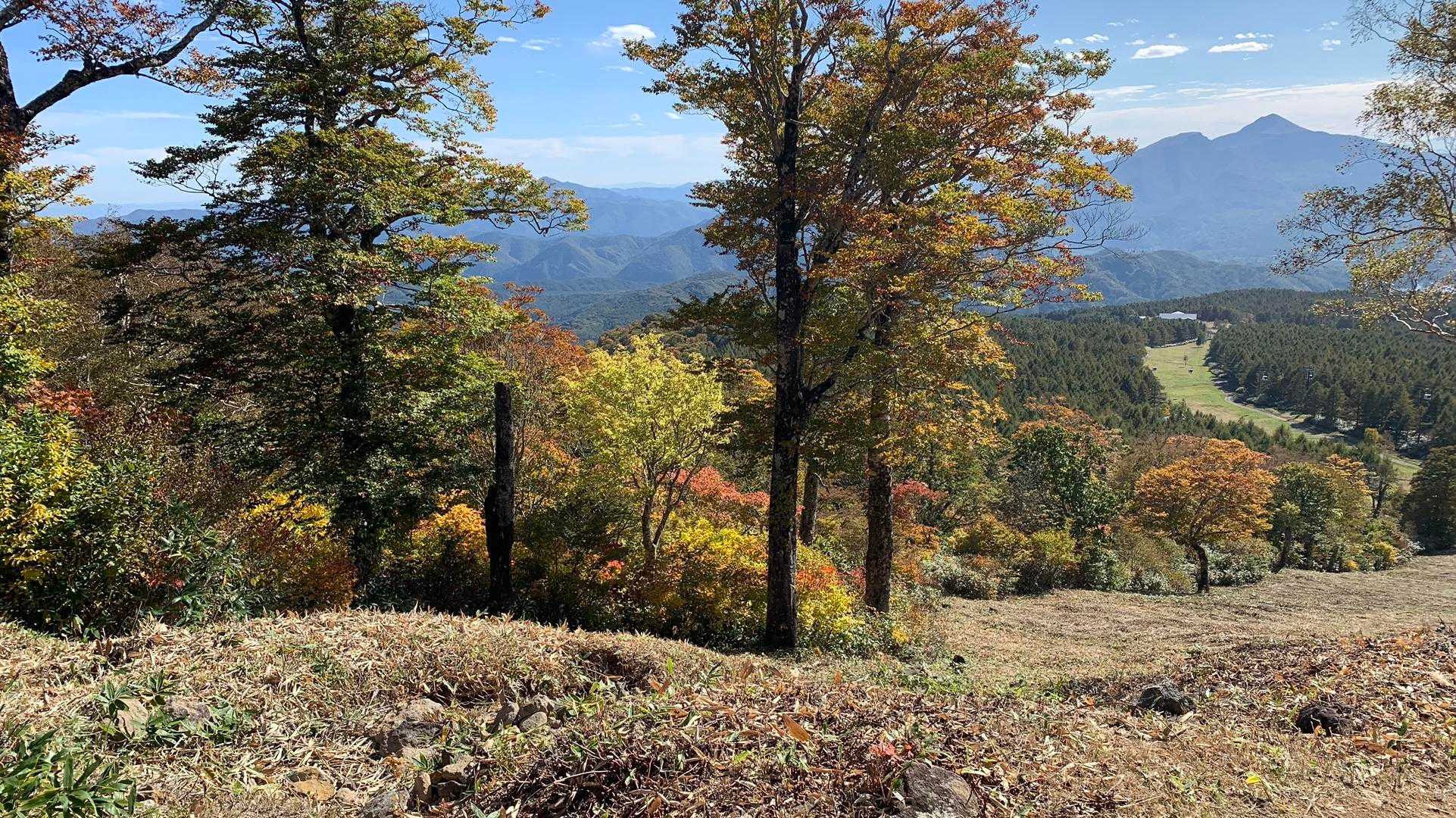 下りながら紅葉🍁も楽しめました😃