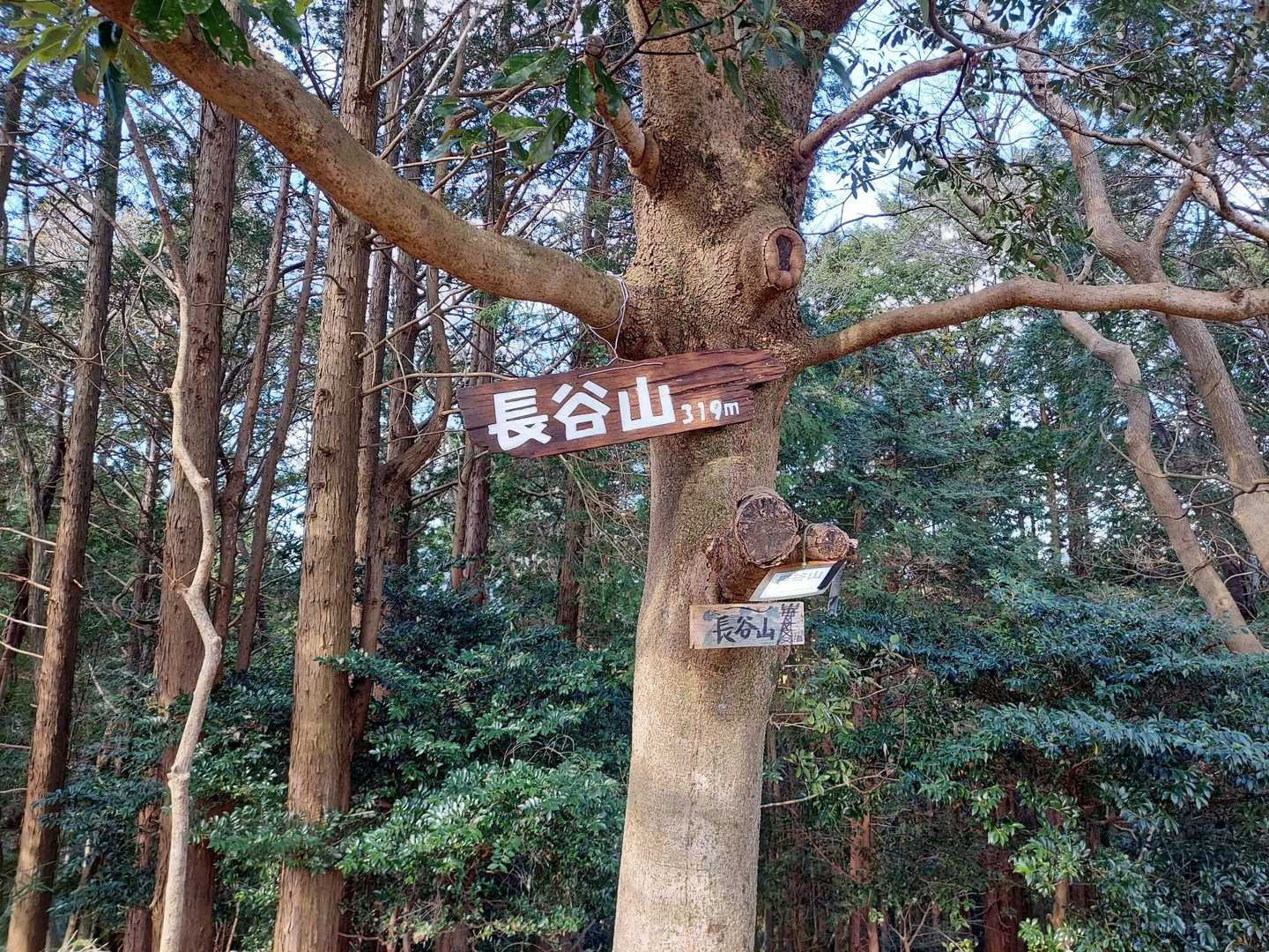 長谷山ハイキングコース入口-長谷山 往復コースの写真