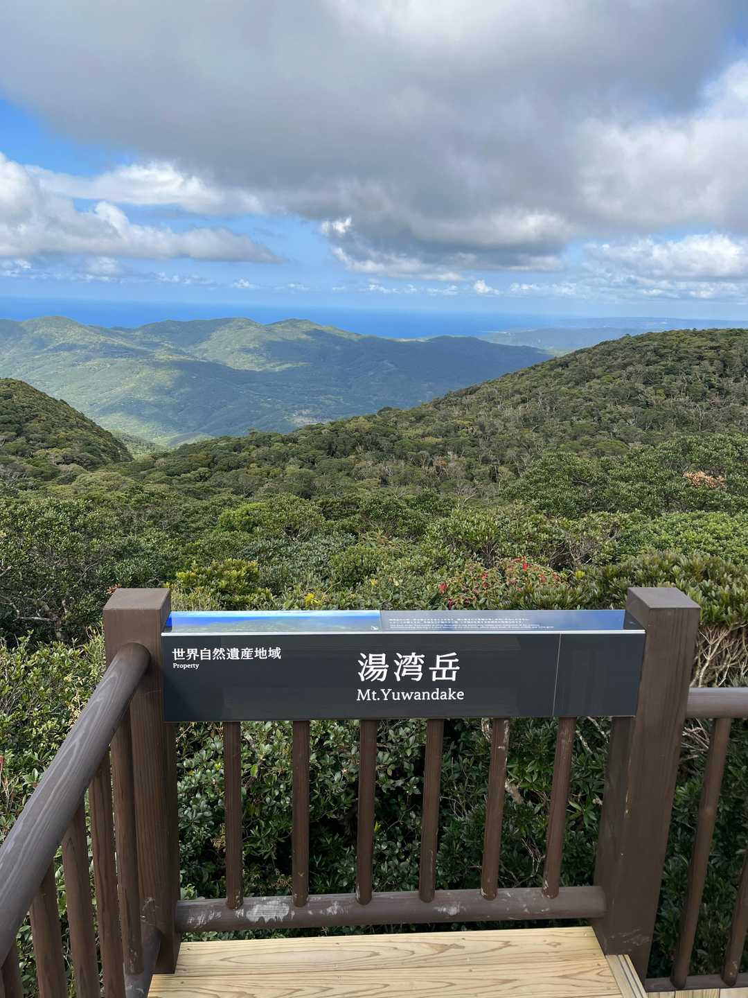 展望台からの展望