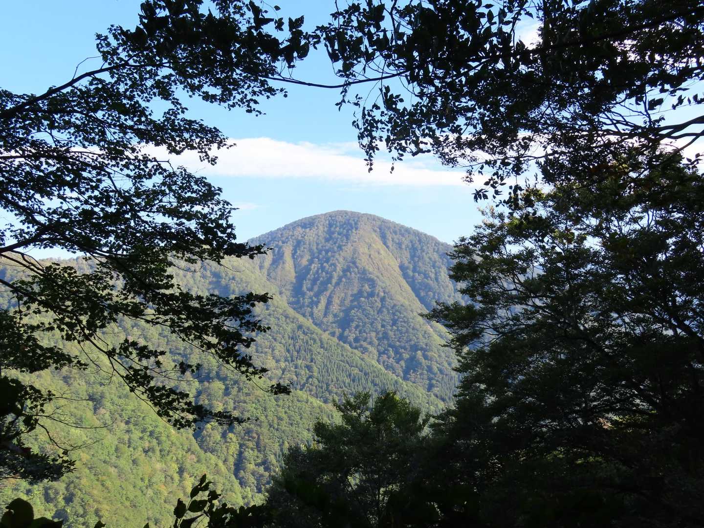 
ずっと横目でチラチラ見えて、
気になるこの山は台山かな？
綺麗な形をしています😊