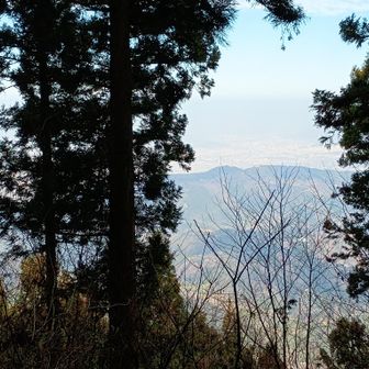 行道山と松山平野。