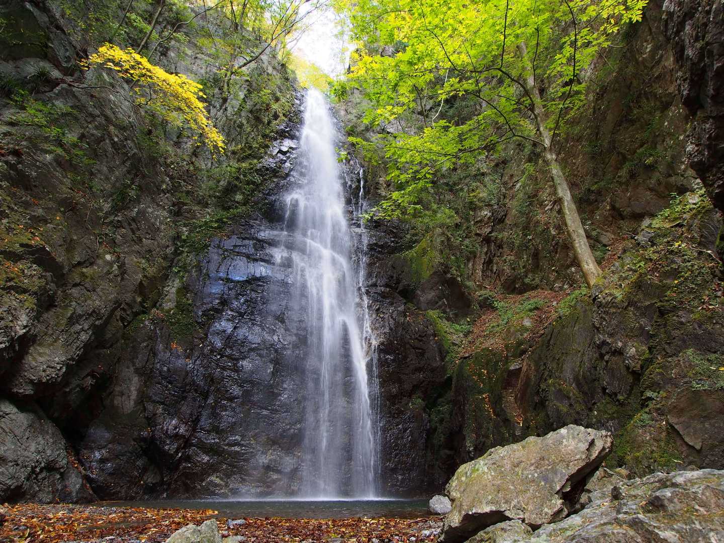 川苔山の写真
