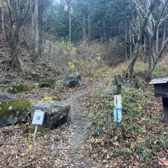 無事に下山🙌
最後まで山盛り落ち葉が滑るので気を引き締めておりました😆💦

葉っぱが落ちて眺望が良かったけど山盛り落ち葉の恐怖😆💦
木が生い茂っている方がいいのか…葉っぱが落ちた後の方がいいのか🤔

とりあえず怪我することもなく熊さんに遭うこともなく無事に下山できて本当に良かったぁー🙌🙌🙌