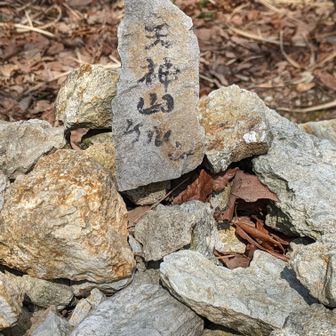 チビケルン？？