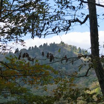 木々の間から峰床山が見えました。