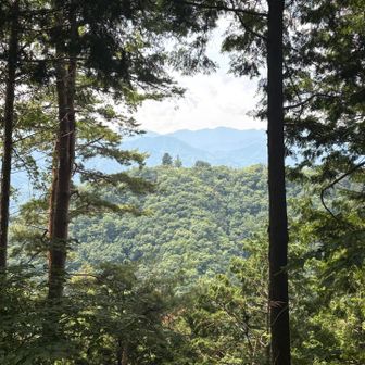 尾続山から要害山を眺める