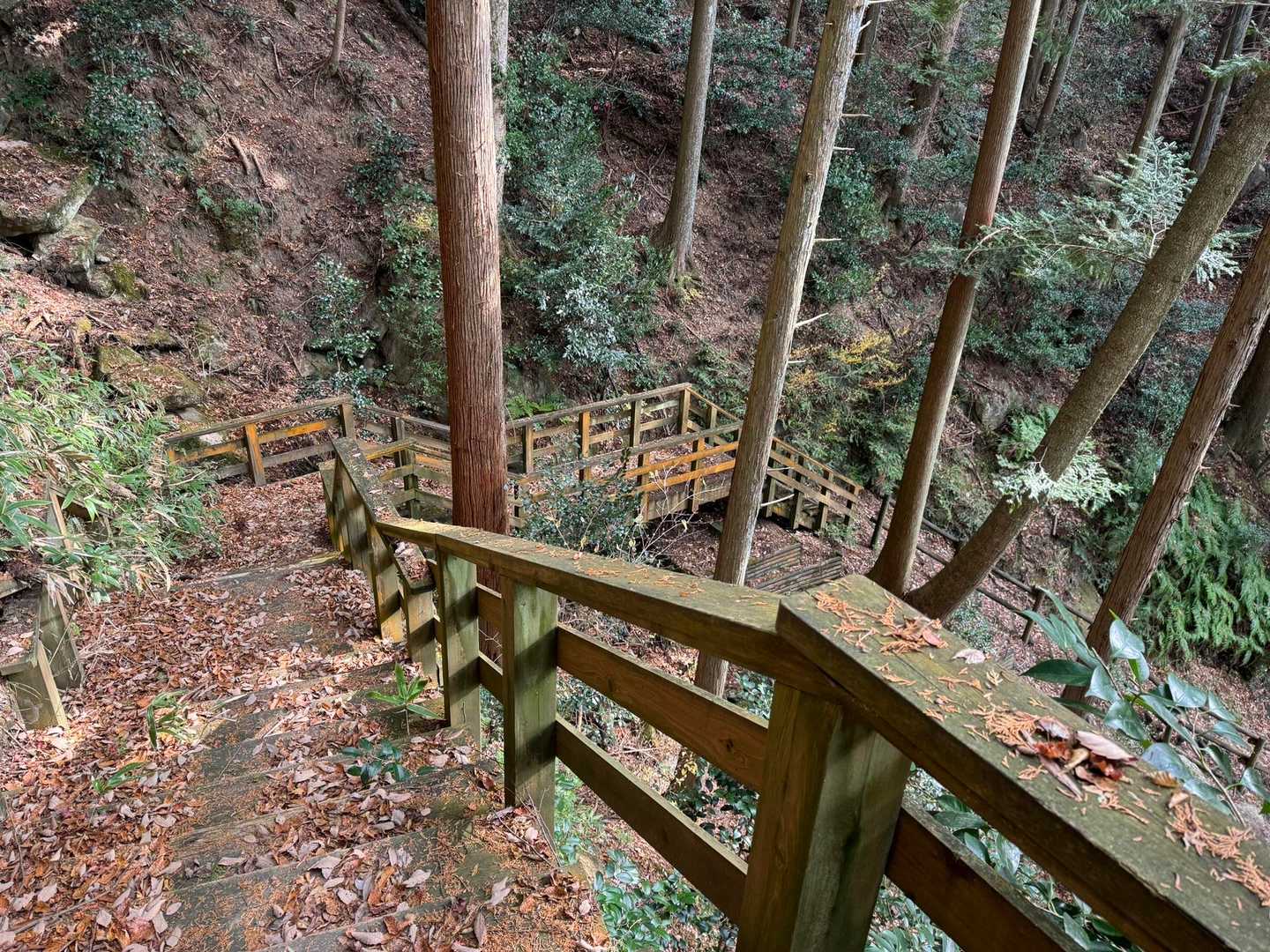 こちらを進みます