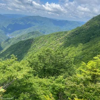 めっちゃ景色いいやん