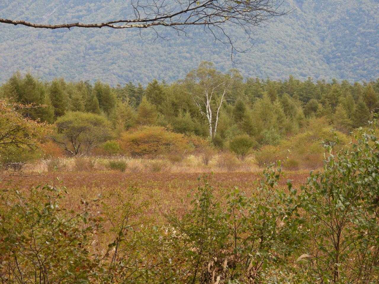 高山 周回コースの写真