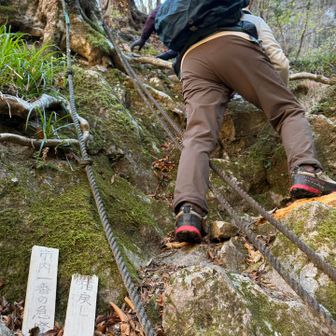 猪戻し🐗市内一番の急登👍