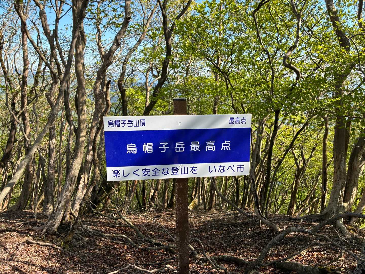 烏帽子岳最高点⛰️
