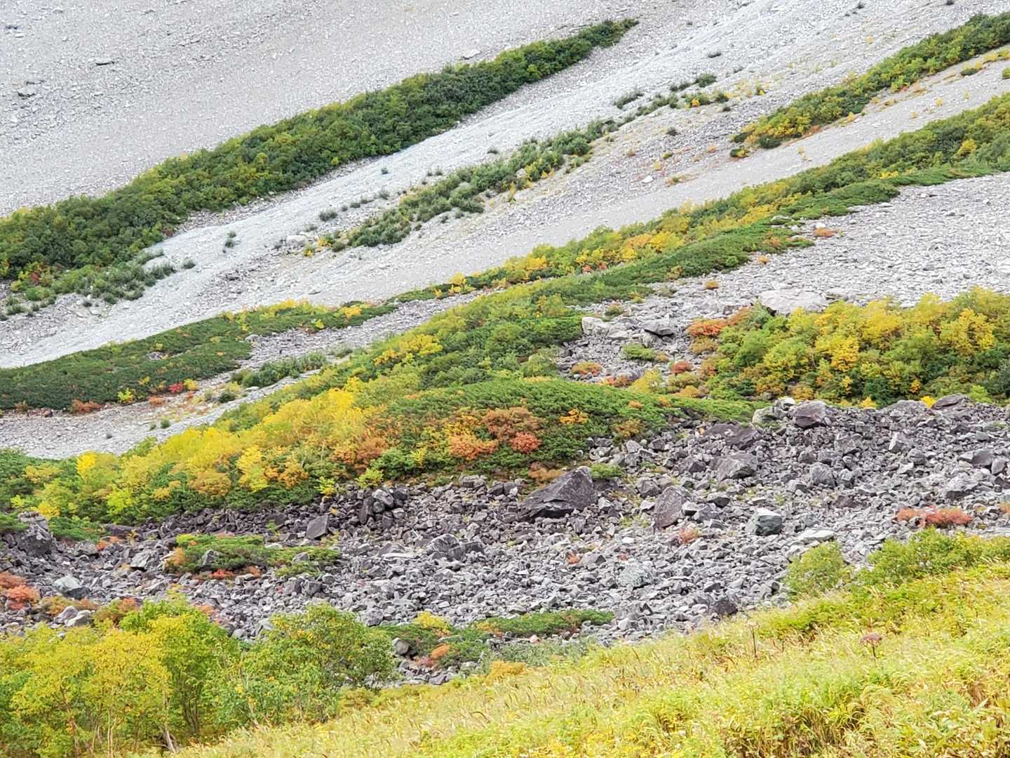北穂高岳 往復コースの写真
