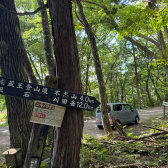 下りは速いねぇ〜
時間的に余裕があるので、久しぶりに
材木岩公園に寄って帰ります

