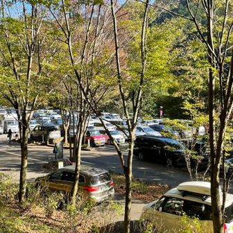瀬音の湯の駐車場は🈵
駐車場待ちのクルマの長い列🚗🚕🚙