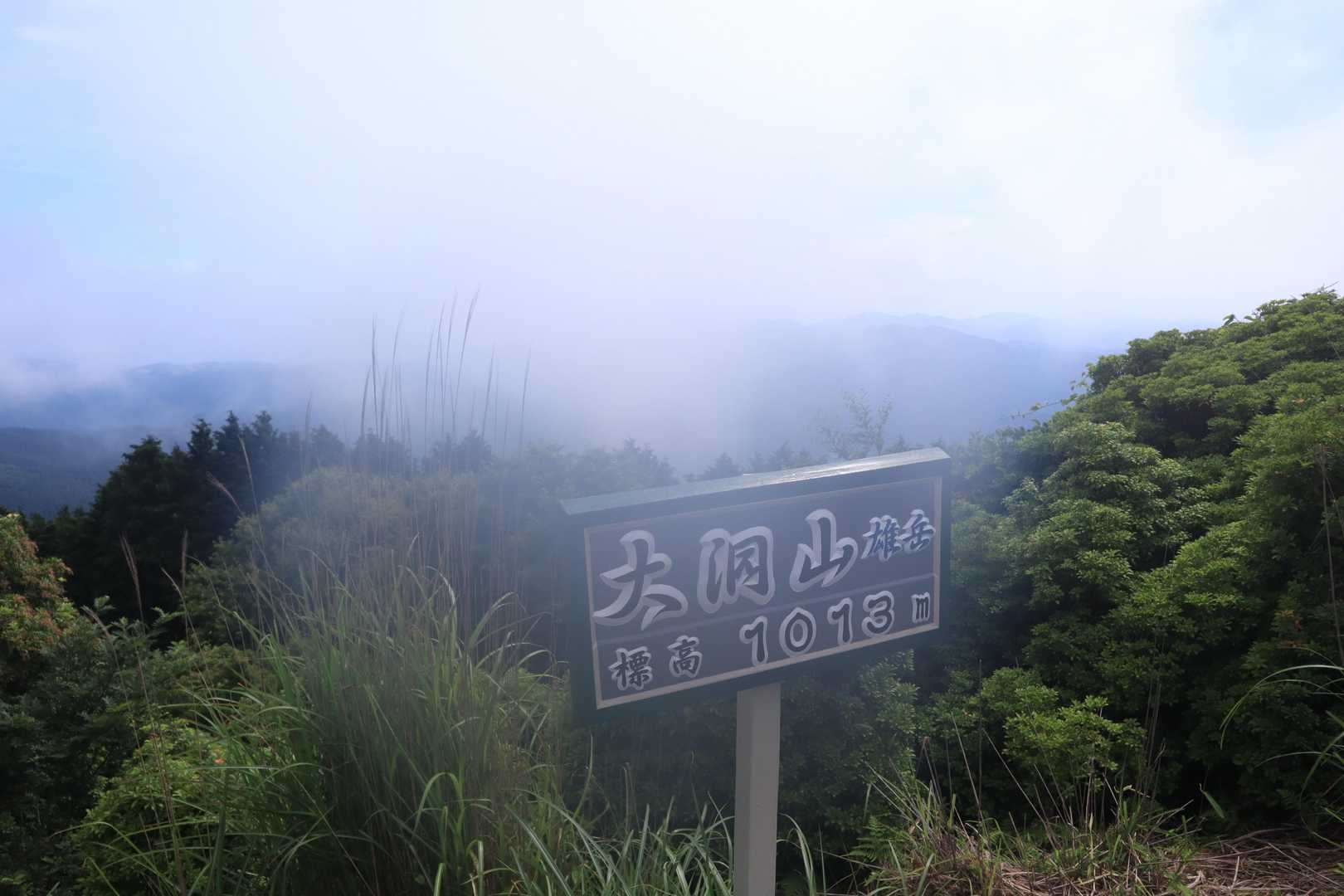 大洞山-大洞山-四ノ峰 周回コースの写真