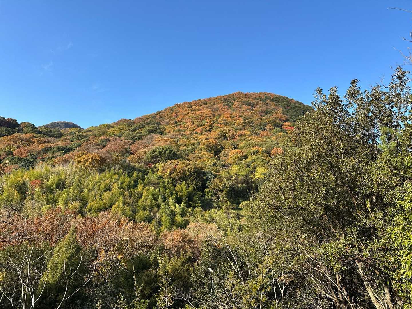 正一位稲荷大明神-香色山-香色山大師堂-筆ノ山-大坂峠-我 周回コースの写真