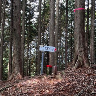 水剣山北東ピークへ寄り道。