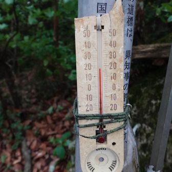 なんと気温18℃
涼しいを超えて寒くなってきた