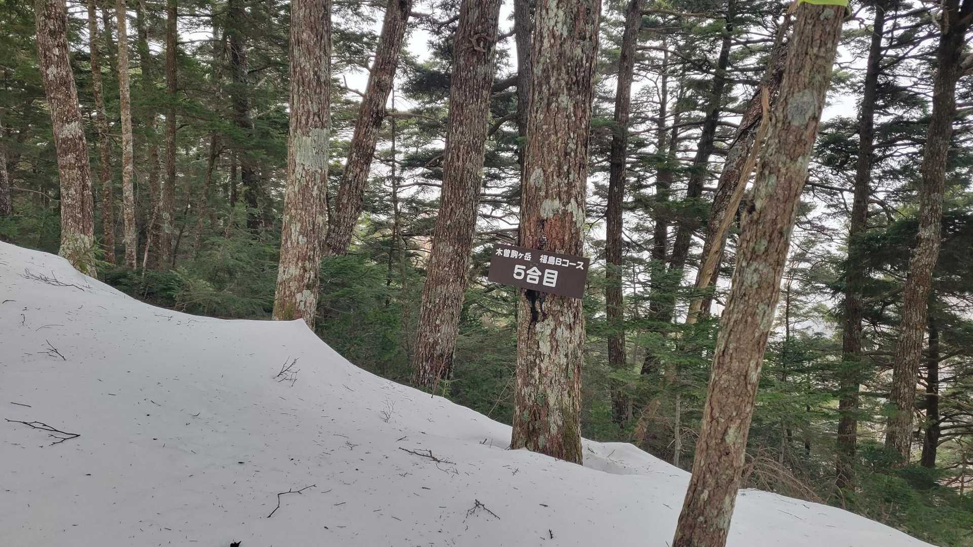 5だってさー

この辺から時々
風が出てきた。