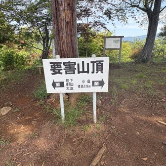 ここまで結構な登りでしたー