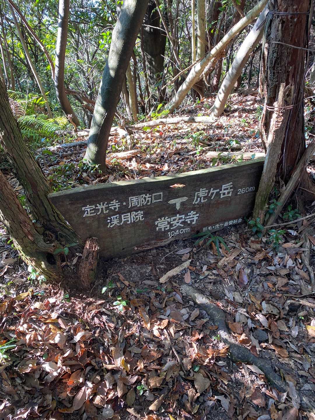又々分岐