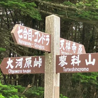 将軍平🪧
