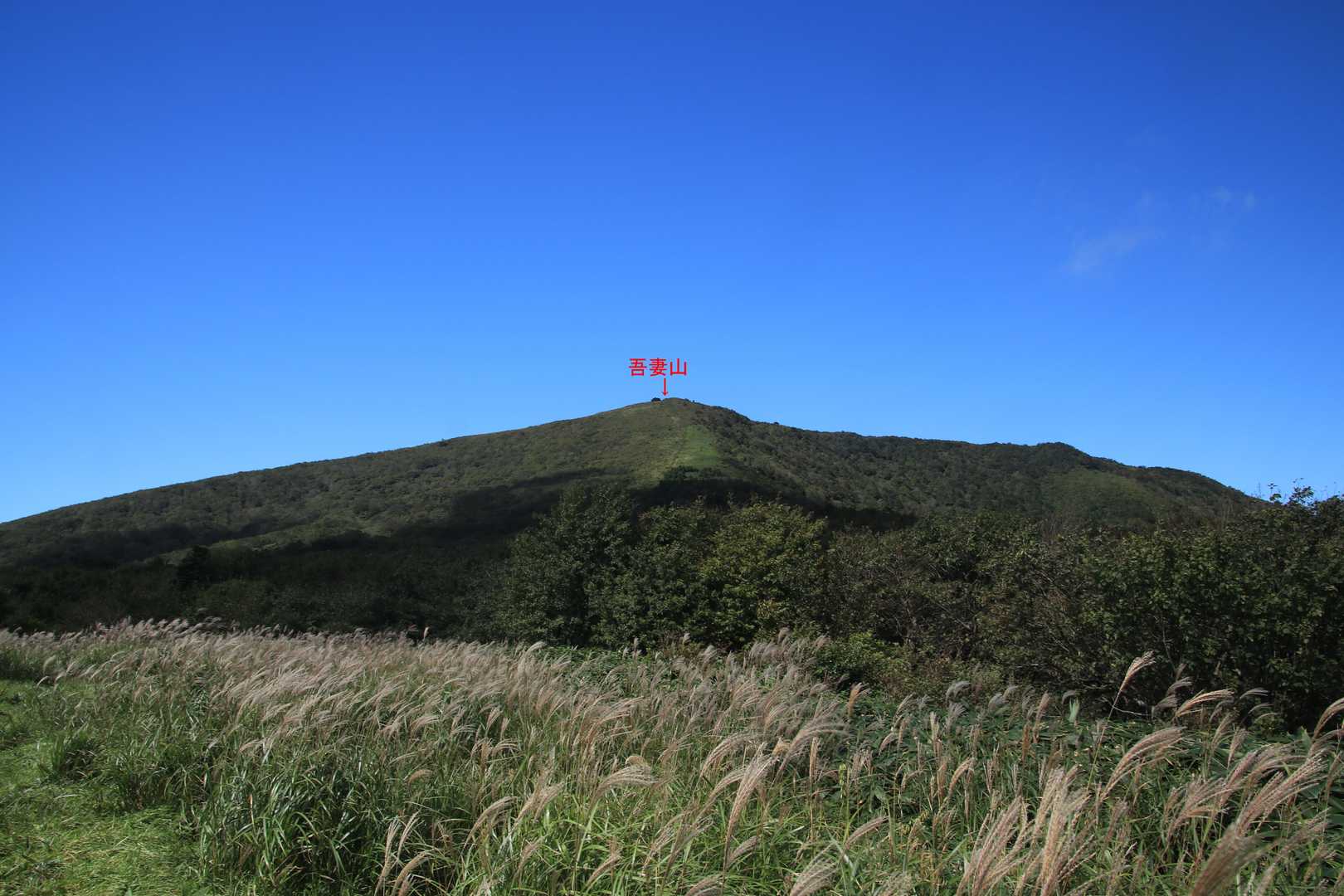 大膳原から吾妻山。