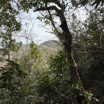 後半戦の頑張りどころ
二子山が見えてきました💪