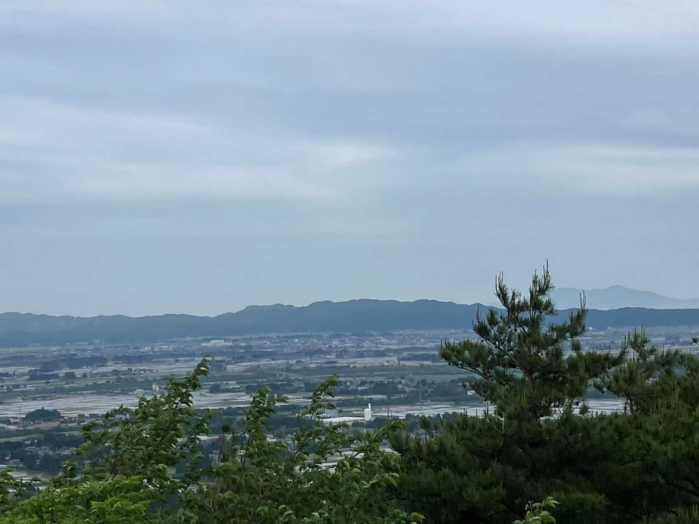 虚空蔵山-宝珠山 往復コースの写真