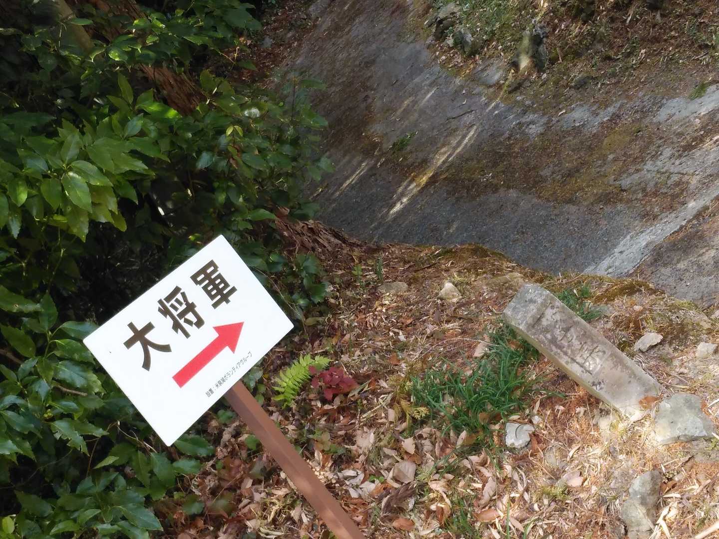 大将軍山 往復コースの写真
