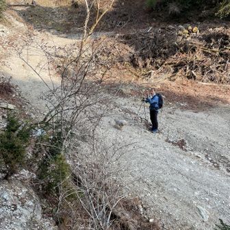 林道に下りて来ました
ここから一時間の林道歩きです
僕も頑張りましたワン🐶