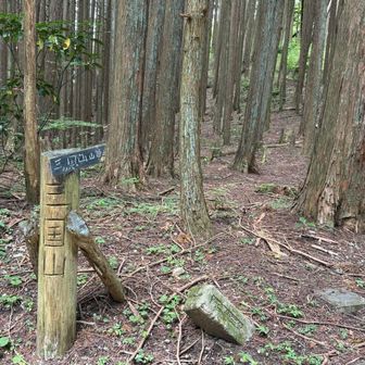 三国山山頂へ↗️