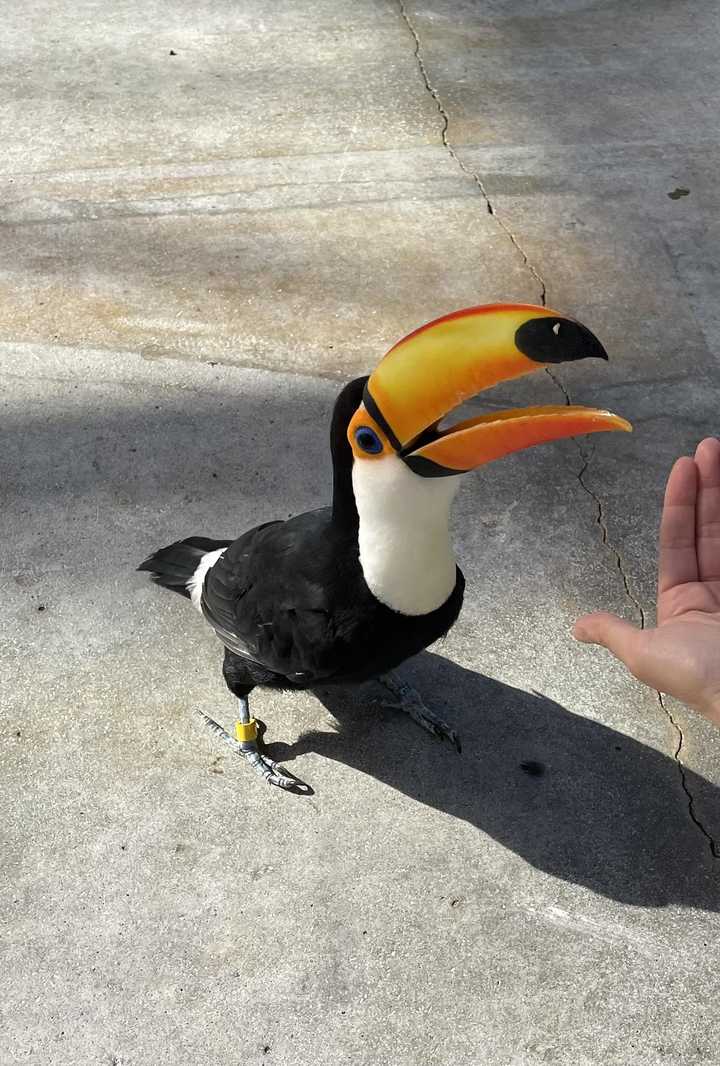 お山はお休みして掛川花鳥園→さわやかへ  / zousanさんの