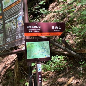 50分位で一旦、矢立石登山口を迎えます。
この登山口付近に4〜5台停められるスペースはあります。