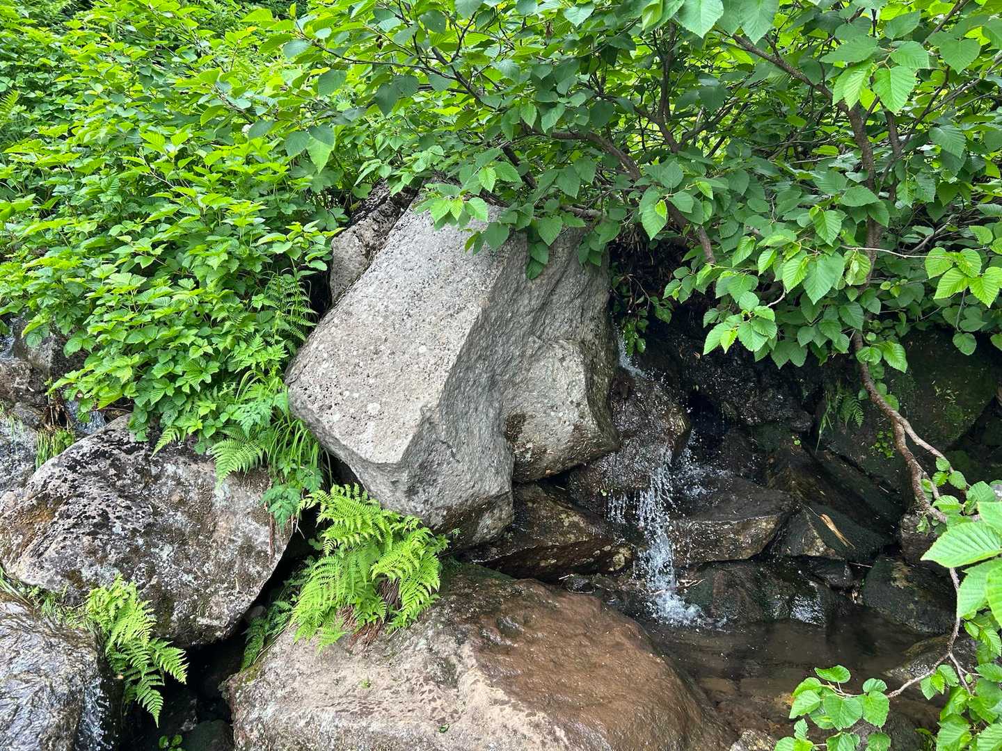 水場あります。
水場は沢かもしれません？