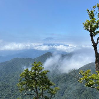 富士山が見える！