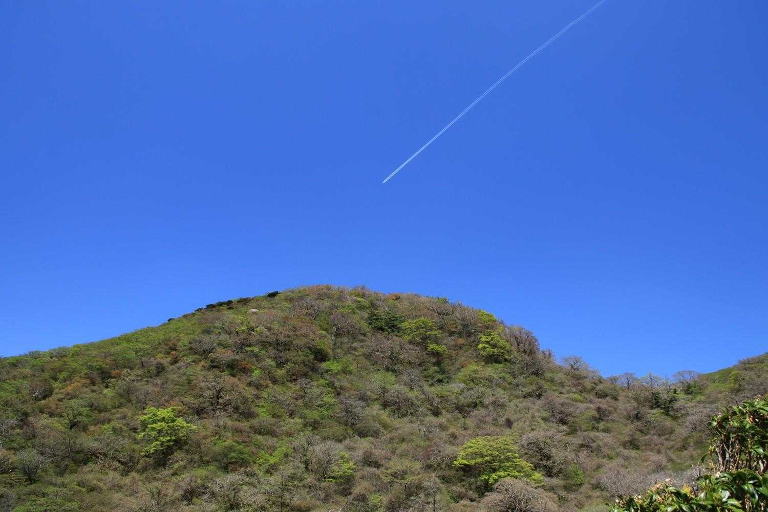 湖尻バス停-防ヶ沢登山口入口-防ヶ沢登山口-神山-箱根駒ヶ 往復コースの写真