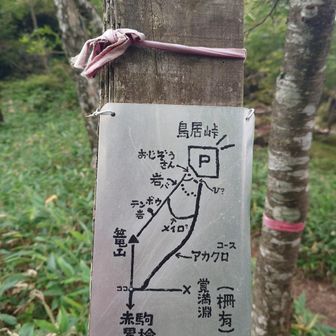 詳しい地図