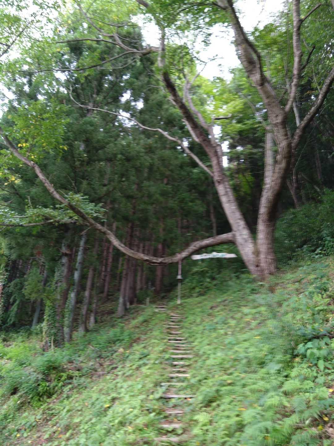 見逃しそうになりました😂ここから出発!!