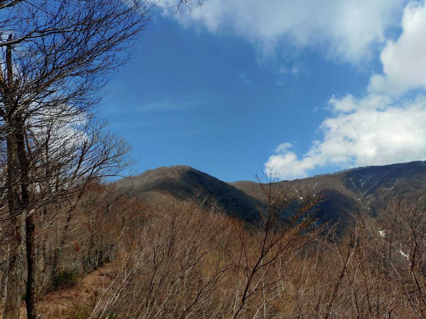 本当にイイ山やわぁ✨️