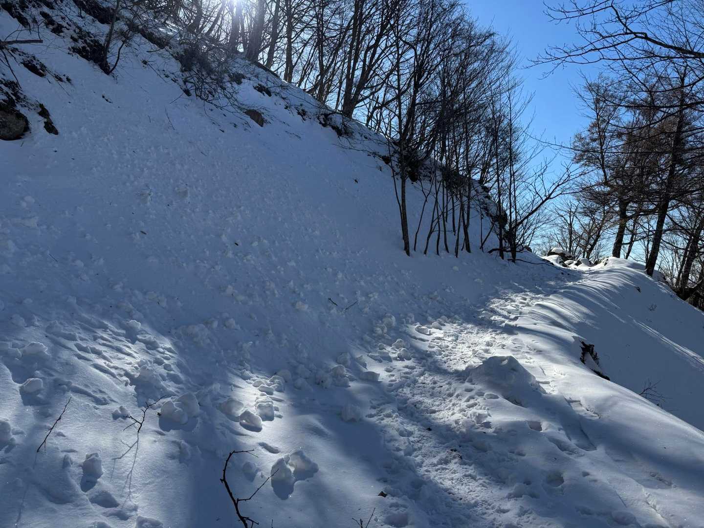 うずまきたくさん